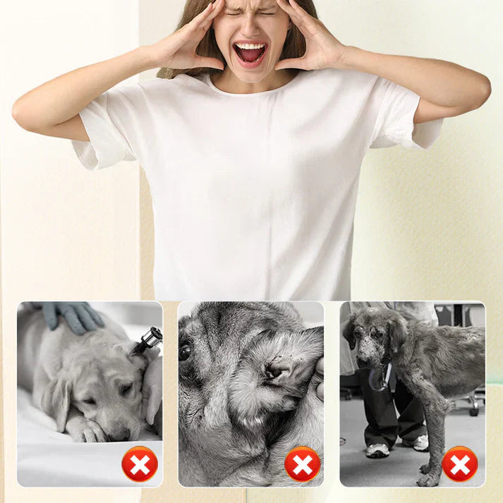 🔥Flea & Tick Repellent Spray for Cats and Dogs | 🔥Buy 1 Get 1 Free🔥