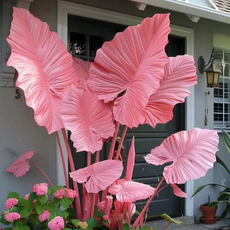 👨‍🌾 Giant Elephant Ear Seeds – Tropical Plants with Massive Leaves