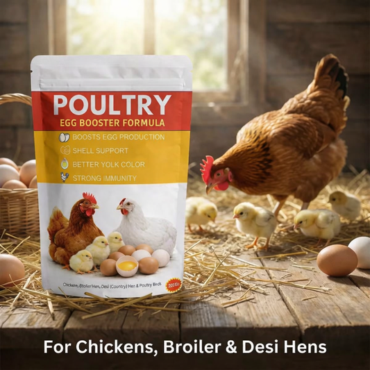 Poultry Egg Booster Formula – Boost Egg Production Naturally 🔥BUY 1 GET 1 FREE🔥