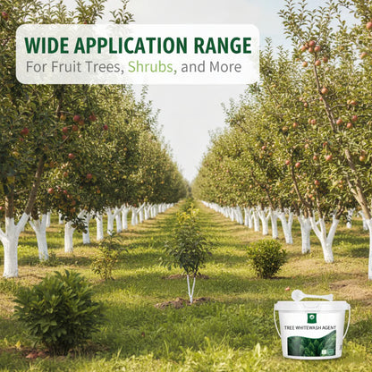 Exclusive Offer💥Long-Lasting Tree Whitewash Agent