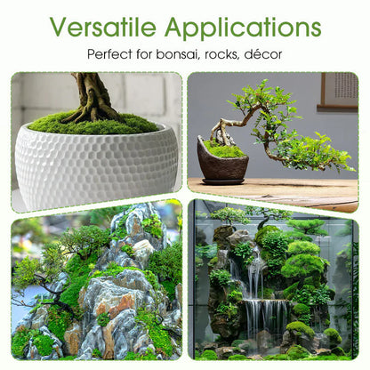 🔥Premium-Grade Moss Spore Powder🔥Free Plant Growth Supplement😍